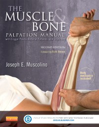 The Muscle & Bone Palpation Manual with Trigger Points, Referral Patterns, and Stretching