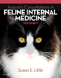 August's Consultations in Feline Internal Medicine, Volume 7