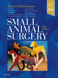 Small Animal Surgery - With Expert Consult