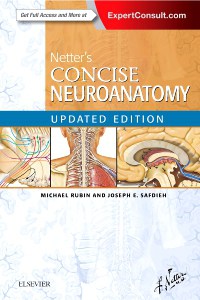 Netter's Concise Neuroanatomy, Updated Edition