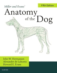 Miller and Evans' Anatomy of the Dog