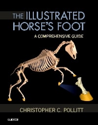 The Illustrated Horse's Foot: A Comprehensive Guide