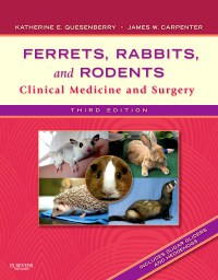 Ferrets, Rabbits, and Rodents: Clinical Medicine and Surgery