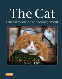 The Cat: Clinical Medicine and Management